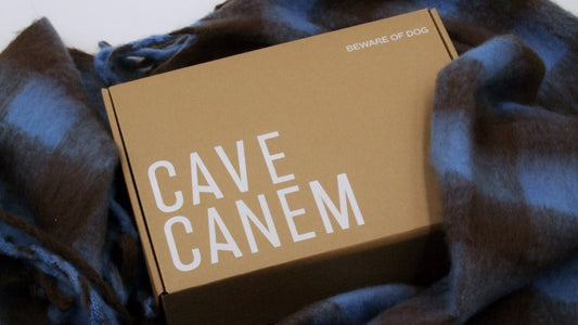 Packaging: An Extension of the Product