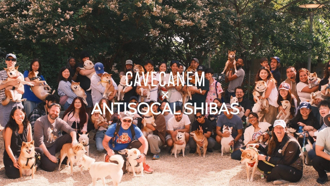 Cave Canem x Antisocial Shibas: Beyond Attire, A Weekend of Connection