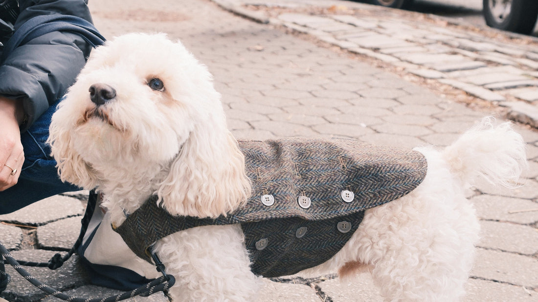 Cave Canem x Brooklyn Pop-Up: December 7 Market