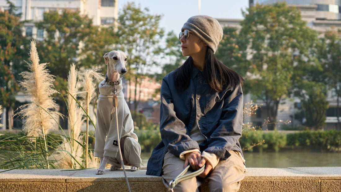 Cave Canem in Shanghai
