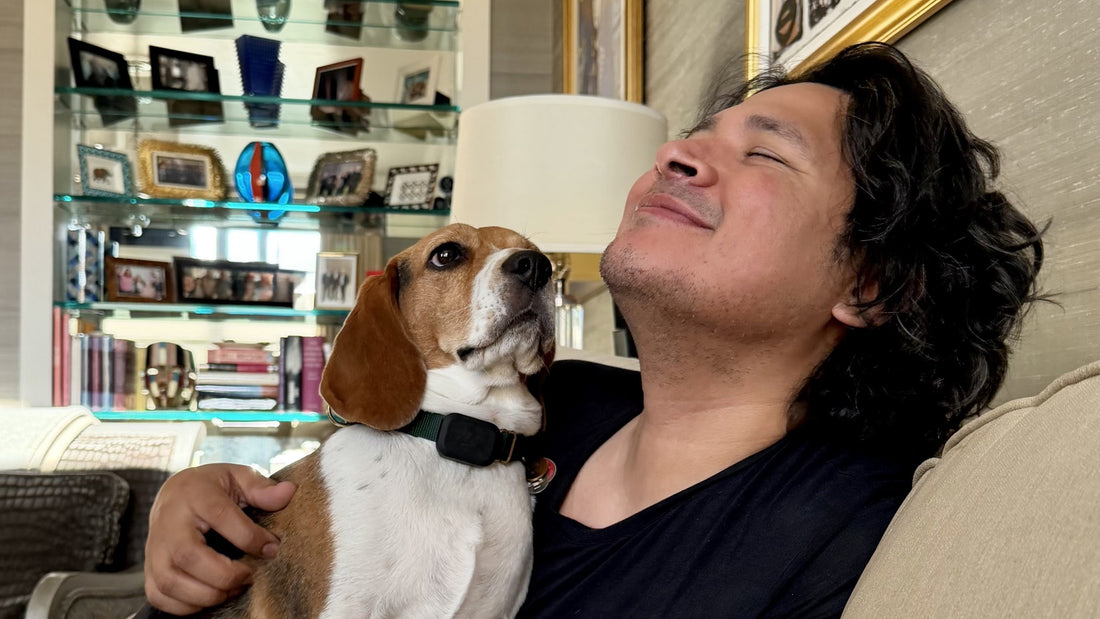 A Beagle and the City: Viva México, Hello NYC!