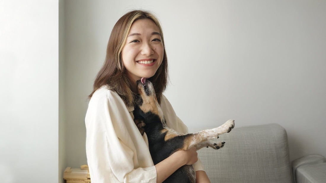 Twelve Years of Devotion: A Small Dog, a Big Heart, and Nicole’s Story