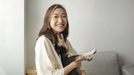 Twelve Years of Devotion: A Small Dog, a Big Heart, and Nicole’s Story