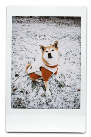 AW24-FFV-Cream-Pic-10