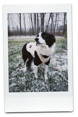 AW24-FFV-Cream-Pic-9