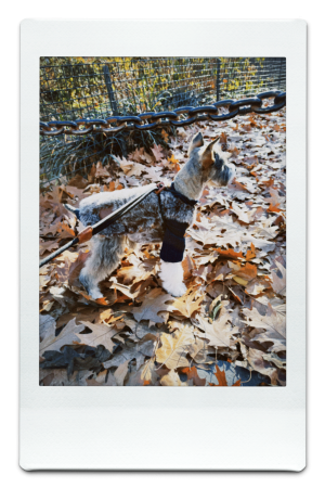 AW24-FFV-Mocha-Pic-10