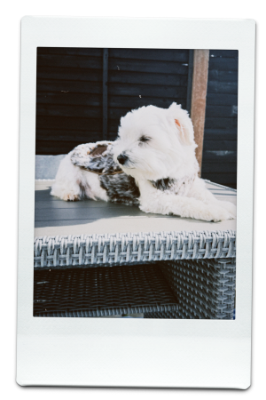AW24-FFV-Mocha-Pic-11
