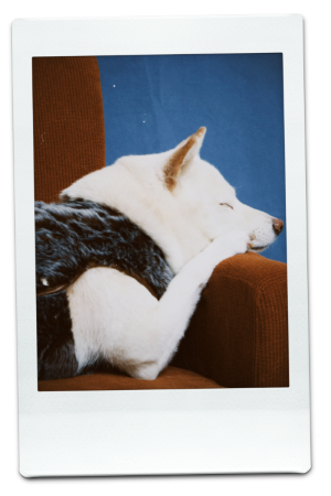 AW24-FFV-Mocha-Pic-3