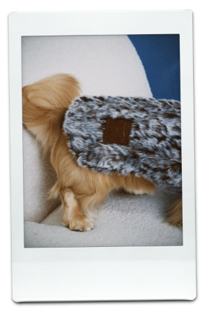 AW24-FFV-Mocha-Pic-5