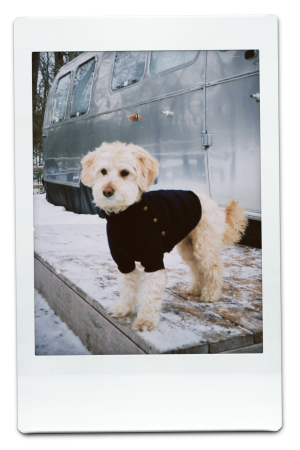 AW24-KW-Navy-Pic-9