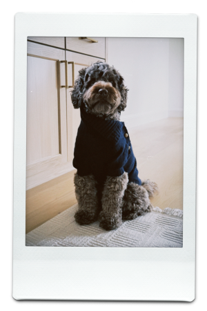 AW24-KW-Navy-Pic-11