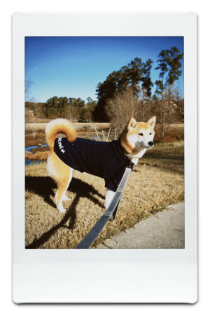 AW24-KW-Navy-Pic-7