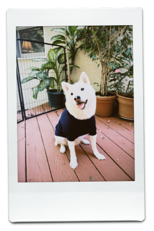 AW24-KW-Navy-Pic-5