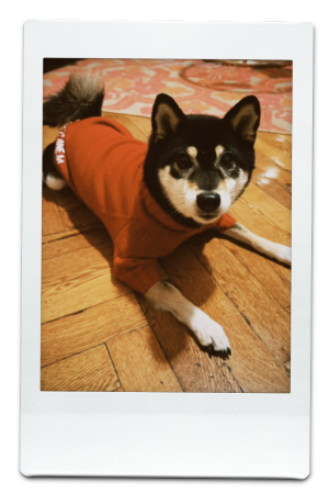 AW24-KW-Red-Pic-10