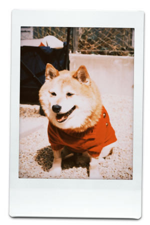 AW24-KW-Red-Pic-9