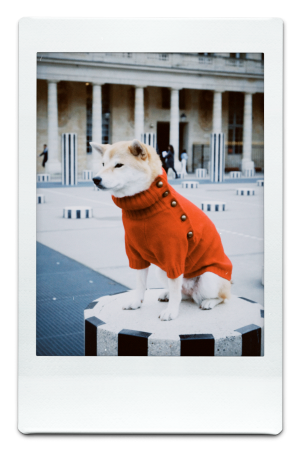 AW24-KW-Red-Pic-7