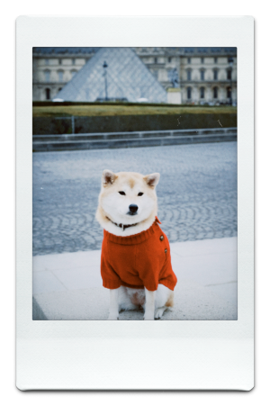 AW24-KW-Red-Pic-8