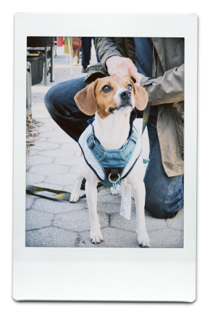 AW24-QV-Blue-Pic-4