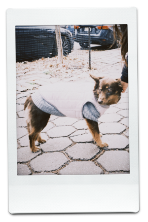AW24-QV-Grey-Pic-8