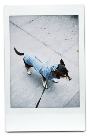 AW24-WB-Blue-Pic-10