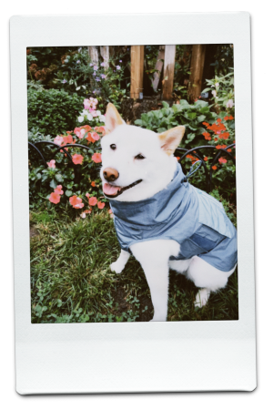 AW24-WB-Blue-Pic-15