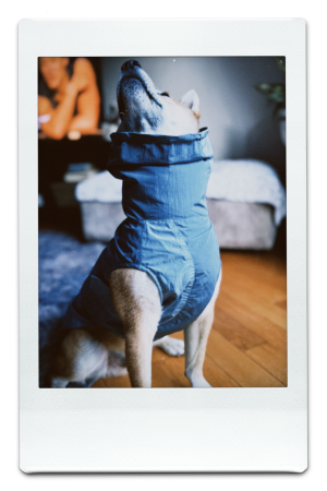 AW24-WB-Blue-Pic-11