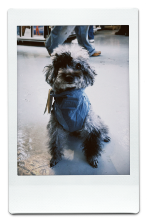 AW24-WB-Blue-Pic-12