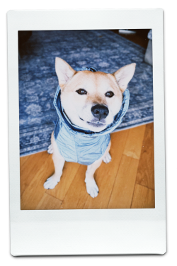 AW24-WB-Blue-Pic-14