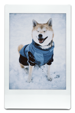 AW24-WB-Blue-Pic-16