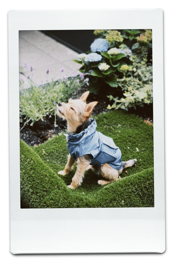 AW24-WB-Blue-Pic-18