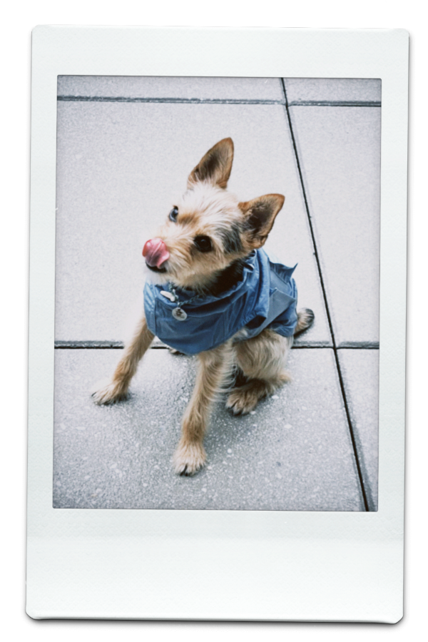 AW24-WB-Blue-Pic-19