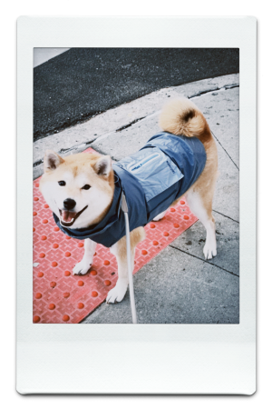 AW24-WB-Blue-Pic-8