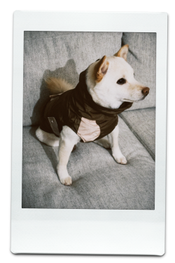 AW24-WB-Brown-Pic-12