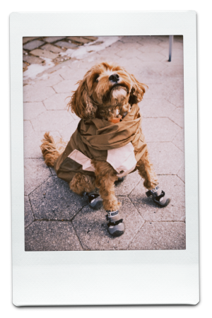 AW24-WB-Brown-Pic-14