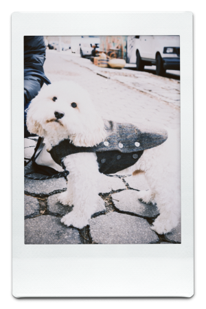 AW24-WV-Herringbone-Pic-9