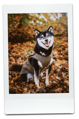 AW24-WV-Houndstooth-Pic-10