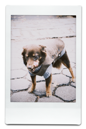 AW24-WV-Houndstooth-Pic-11