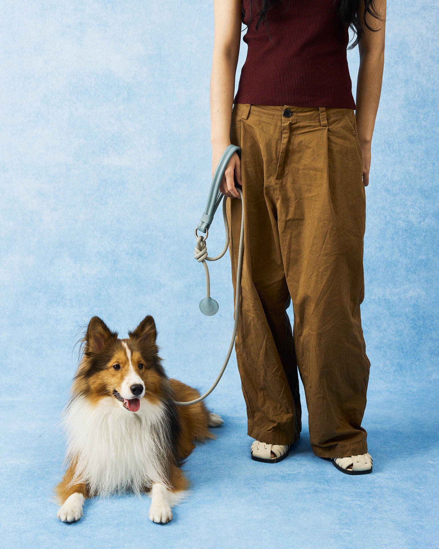 The Alinea Leather Dog Leash | Stormy Teal