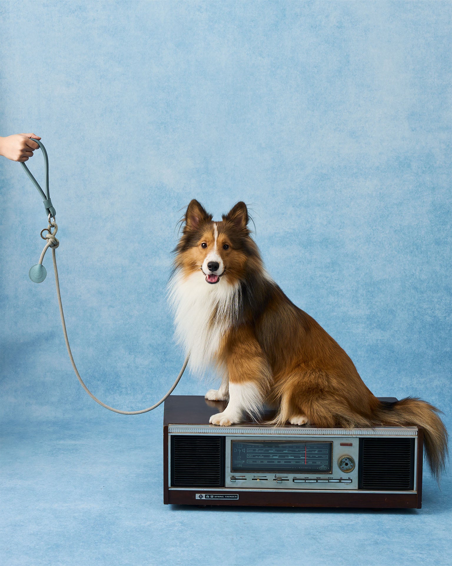 The Alinea Leather Dog Leash | Stormy Teal