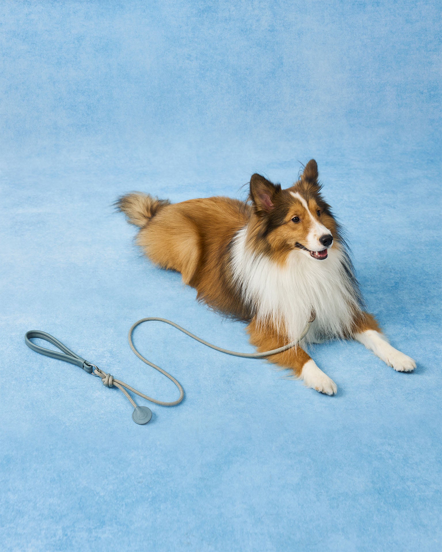 The Alinea Leather Dog Leash | Stormy Teal