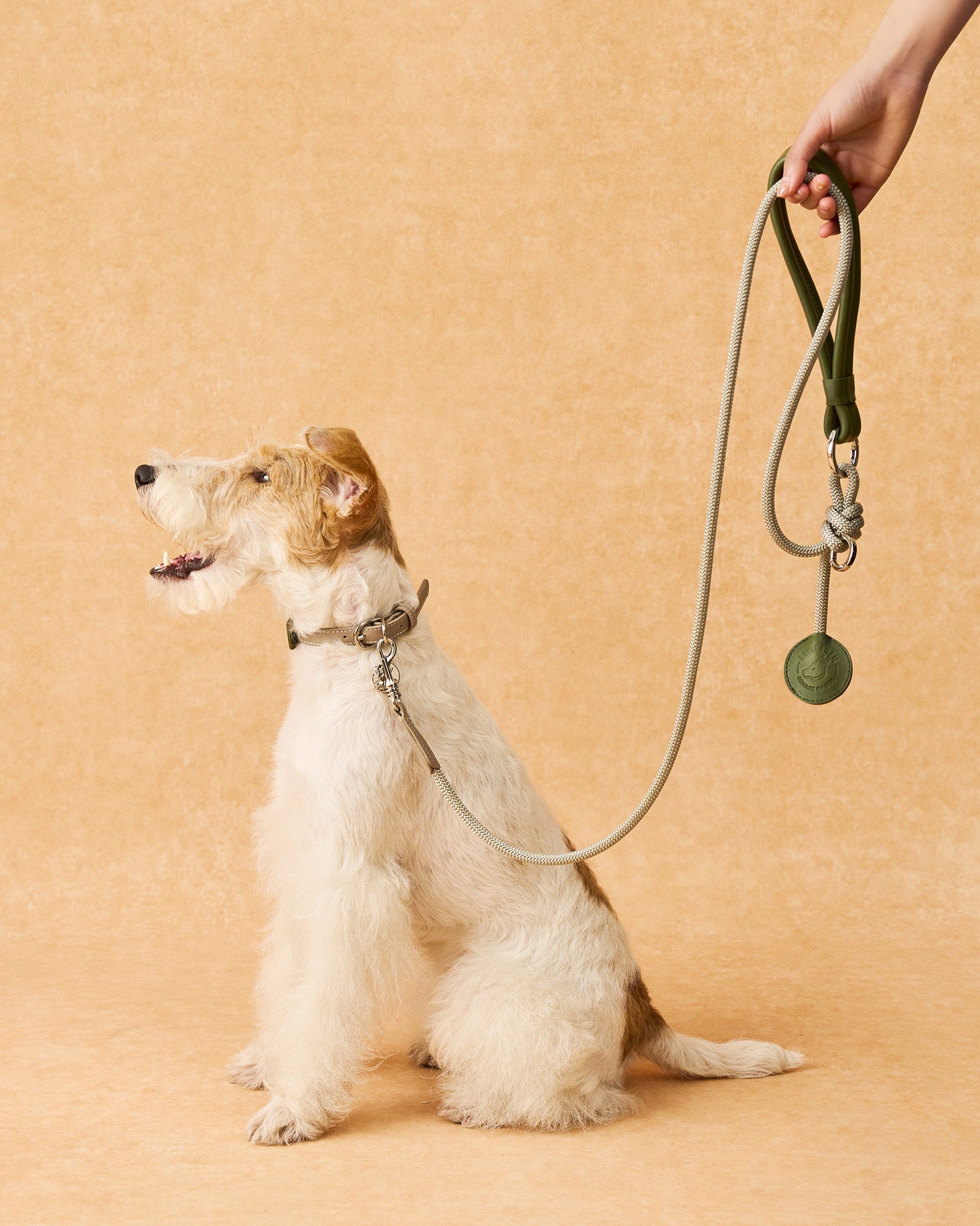 The Alinea Leather Dog Leash | Willow Sage
