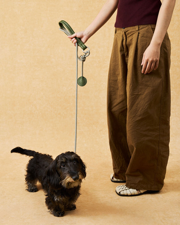The Alinea Leather Dog Leash | Willow Sage