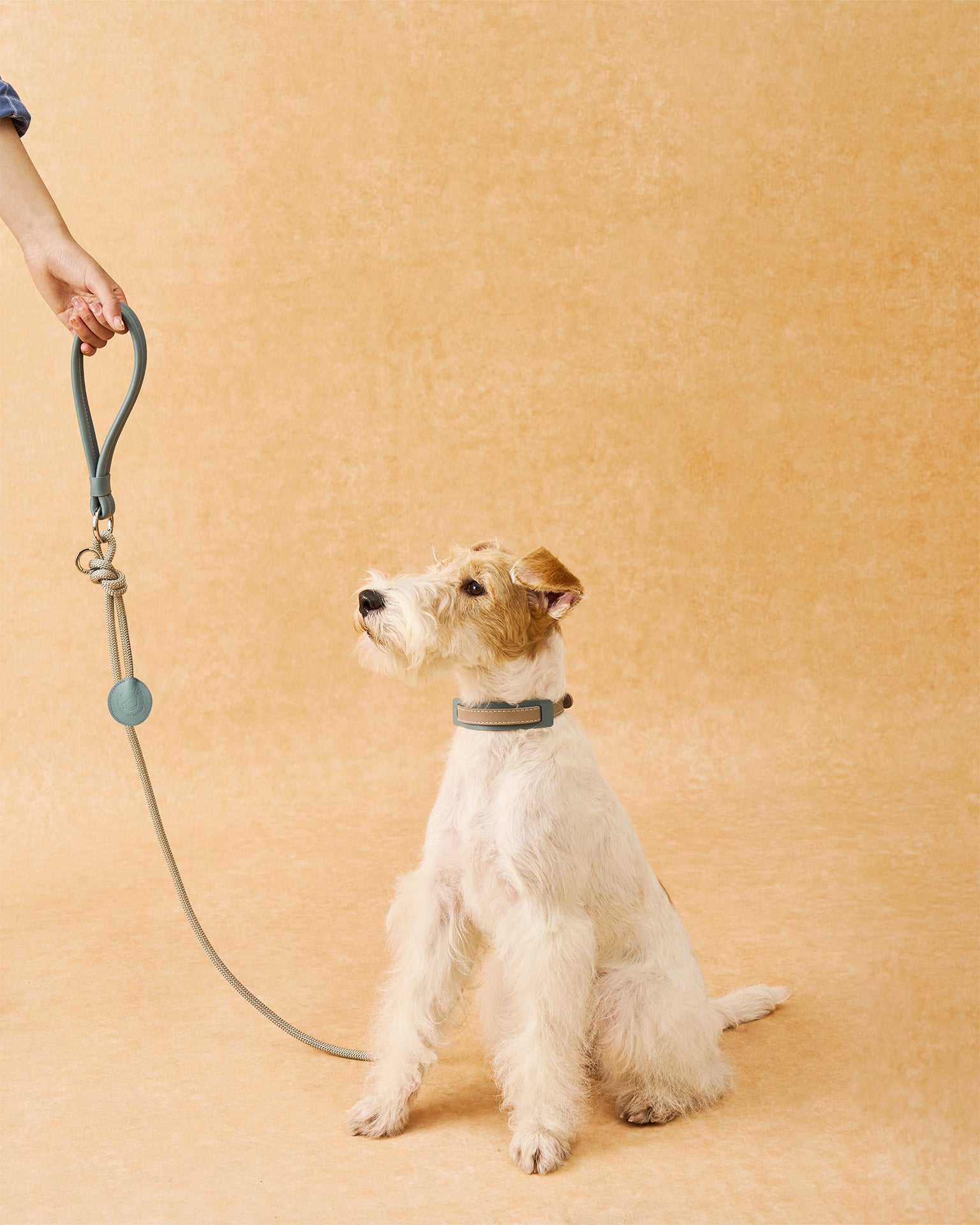 The Alinea Leather Dog Leash | Stormy Teal