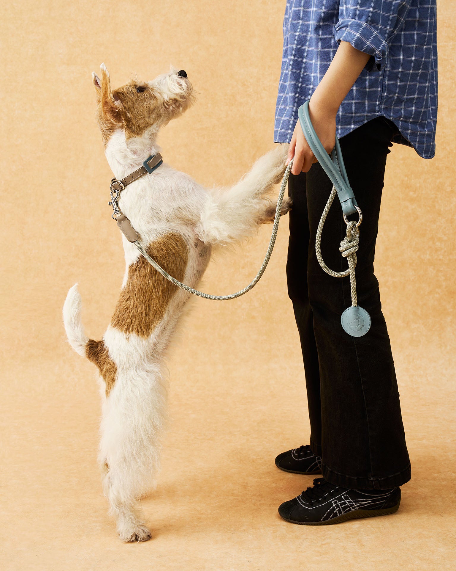 The Alinea Leather Dog Leash | Stormy Teal