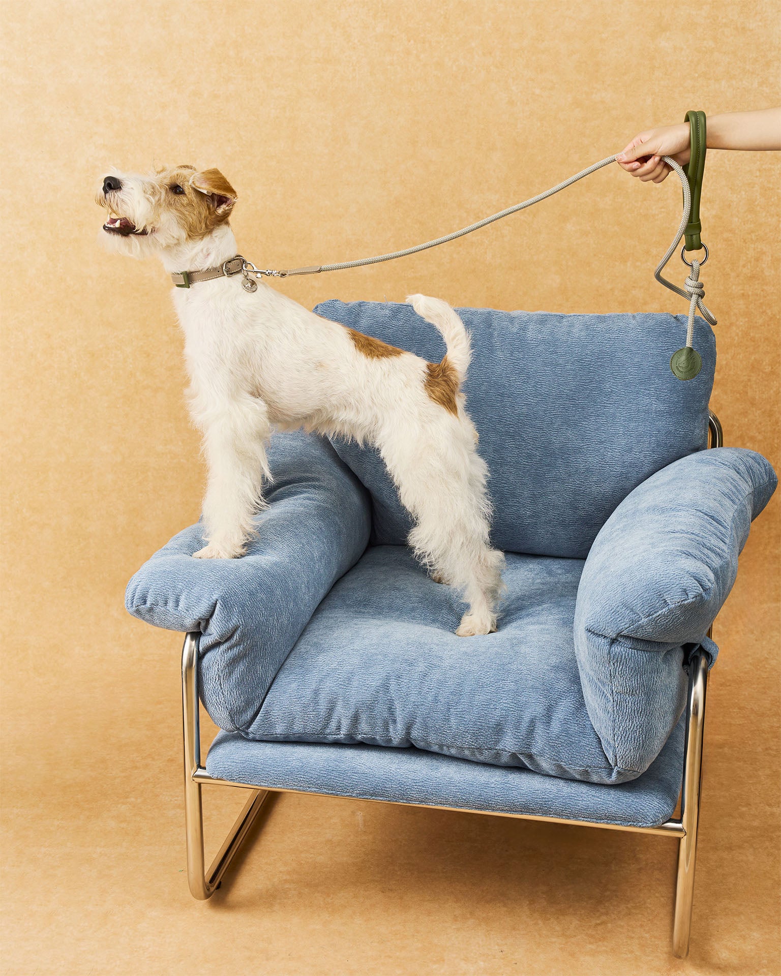 The Alinea Leather Dog Leash | Willow Sage