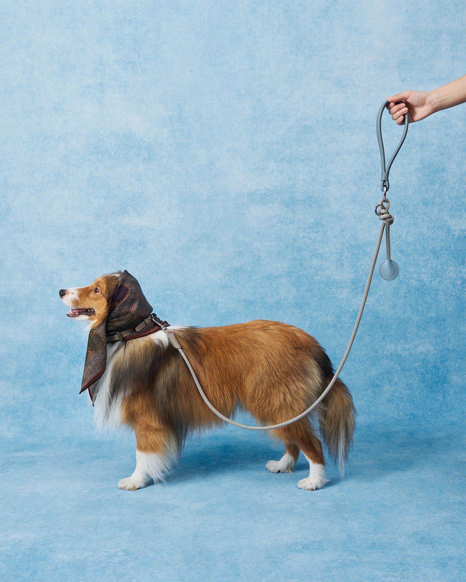 The Alinea Leather Dog Leash | Stormy Teal
