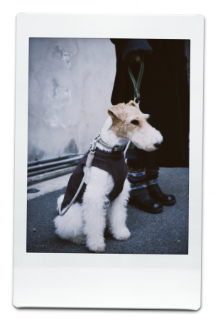 AW25-WS-Green-Pic-4