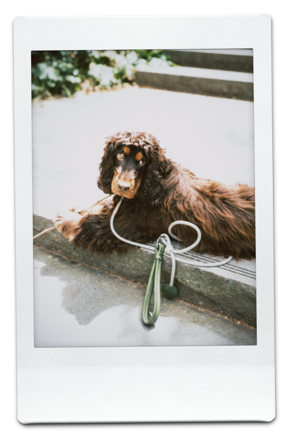 AW25-WS-Green-Pic-9