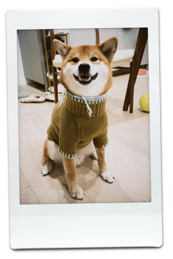 AW26-KW-Green-Pic-1