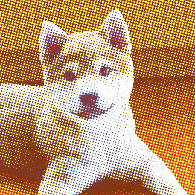 Mece, Cave Canem's founding dog, relaxing